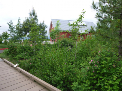 Cooper Mountain Nature House and wooden boardwalk over vegetation in parking lot